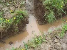 Дачный дренаж