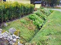 дренаж на приусадебном участке