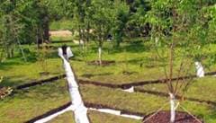 дренаж участка своими руками