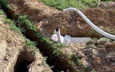 дренаж в садовом участке