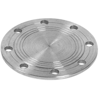 Фланцы стальные глухие